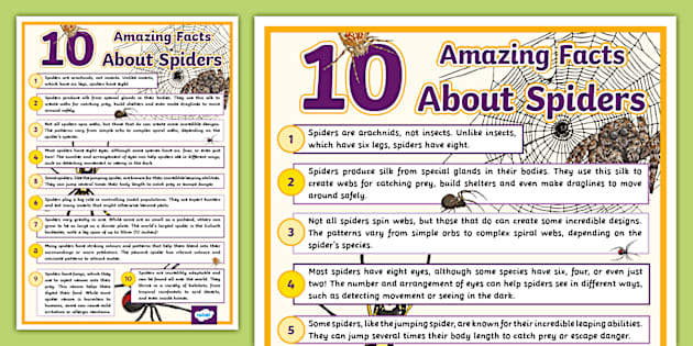 10 Amazing Facts about Spiders Display Poster (teacher made)