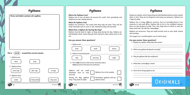 Pythons Differentiated Worksheet / Worksheets