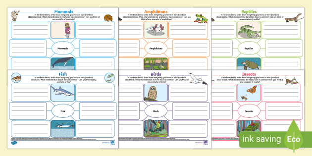 Animal Groups Mind Map Pack, Animal Classification Pack