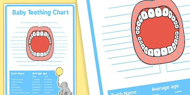 Baby Teething Chart Eylf Parents Teacher Made