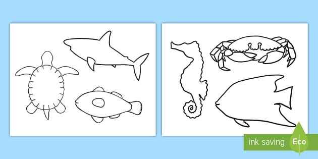 Sea Creature Cutouts Coloring Resource Twinkl USA
