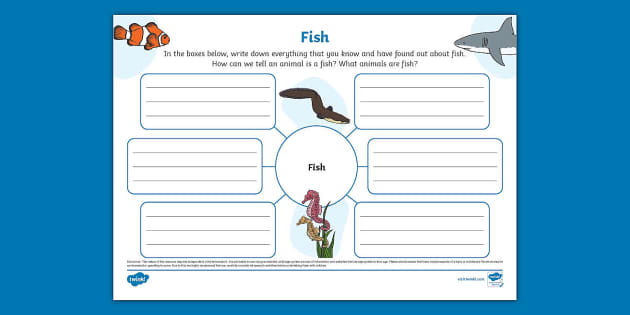 Fish Mind Map (teacher made) - Twinkl