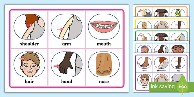 Body Bingo - ESL Body Parts Bingo Game (teacher made)