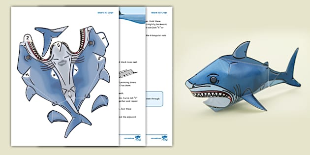 Engaging 3D Shark Craft Template For Kids Twinkl USA Engaging 3D Shark Craft Template For Kids Twinkl USA