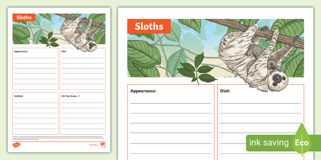 Sloths Fact File Template Teacher Made Twinkl 0707