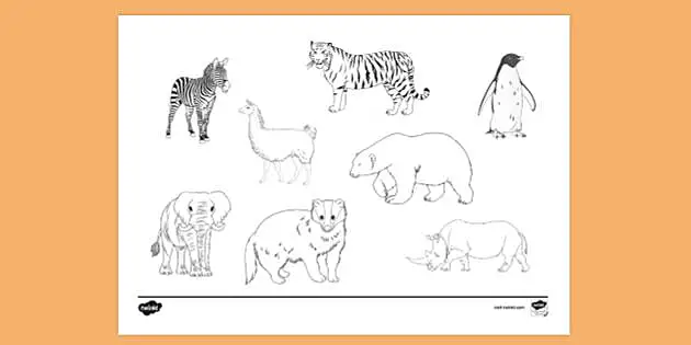 FREE! - Animal Collage Colouring | Colouring Page - Twinkl