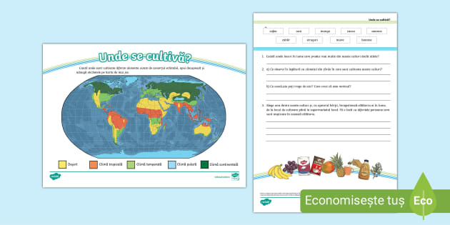 Comerțul echitabil: Unde se cultivă? – Fișă de investigație 9-12 ani