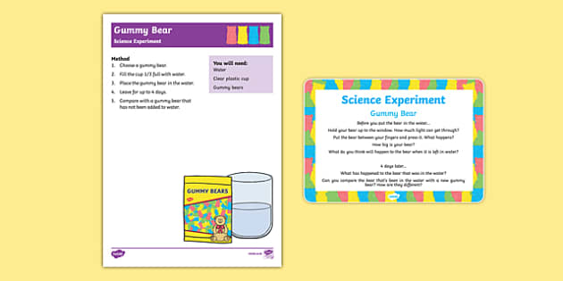 Gummy Bear Science Fair Experiment Worksheet Printable PDF 