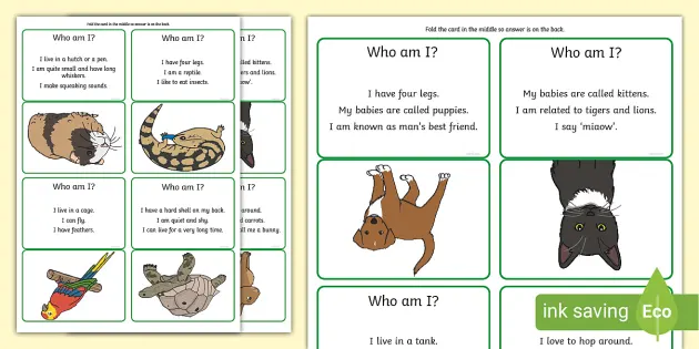 Who Am I? Pets Game (Teacher-Made) - Twinkl