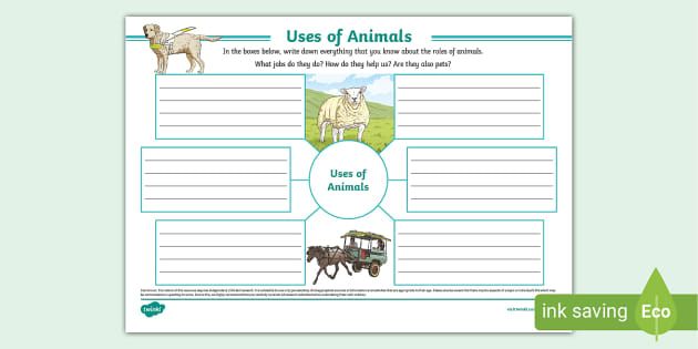 Uses of Animals Mind Map Template (teacher made) - Twinkl