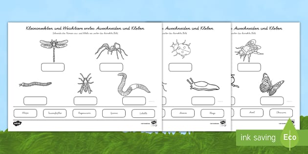 Kleininsekten Und Weichtiere Erstes Ausschneiden Und Kleben Arbeitsblatt