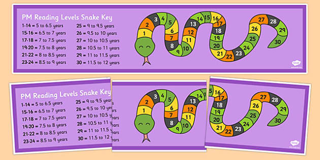 PM Reading Levels Large Display Snake (teacher made)