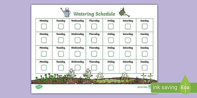 Watering Schedule (teacher made) Twinkl