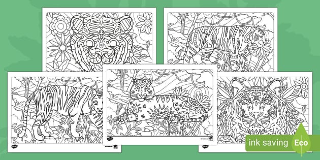 Tiger Mindfulness Colouring Pages (teacher made) - Twinkl