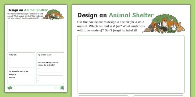 Design an Animal Shelter Activity (teacher made) - Twinkl