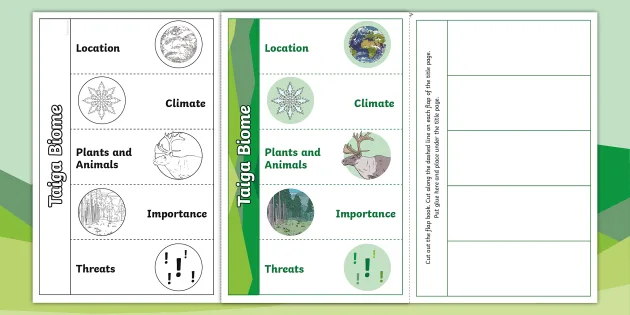 Taiga: Plants Educational Resources K12 Learning, Earth Science