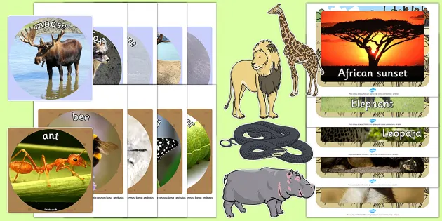 Printable Animal Pictures - Primary Resources (teacher made)