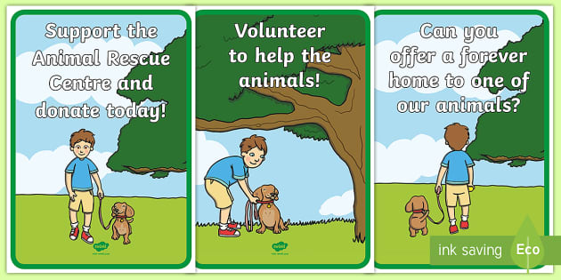 Animal Rescue Centre Role Play Display Posters - Twinkl