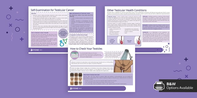 Testicular Self Examination Fact Sheets Teacher Made 9915