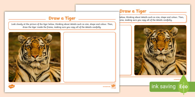 Draw a Tiger Art Activity (teacher made) - Twinkl