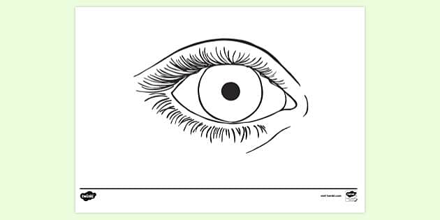Iris Colouring Page | Eye Colouring (teacher made) - Twinkl