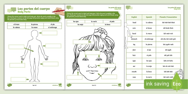 Spanish: Body Parts Labelling Activity Sheet (Teacher-Made)