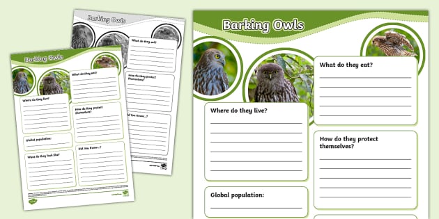 Barking Owls Fact File Template (teacher made) - Twinkl