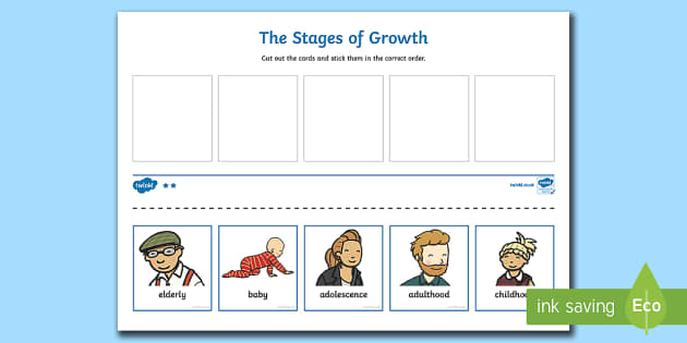 Growing Up Cut-Outs (Teacher-Made) - Twinkl