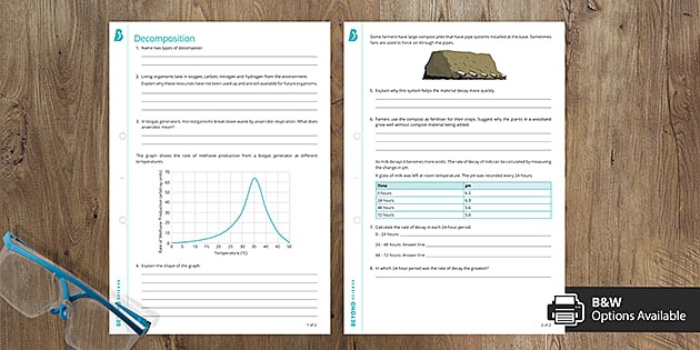 Decomposition Worksheet Aqa Gcse Biology Beyond Twinkl