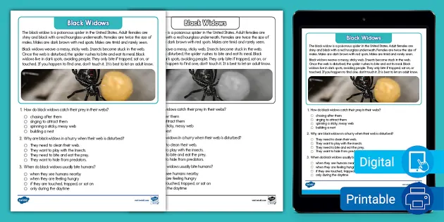 Second Grade Black Widowz Reading Passage Comprehension