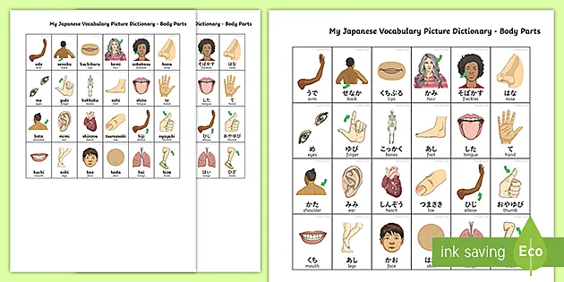 My Japanese Picture Dictionary Body Parts Flashcards