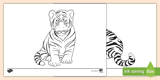 FREE! - Baby Tiger Colouring Sheets | Primary Resources | Twinkl