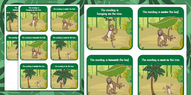 Monkey Positional Language Picture Cards | Twinkl - Twinkl