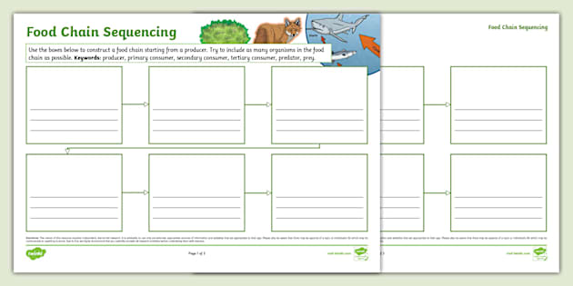 Food Chain Sequencing Mind Map (teacher made) - Twinkl