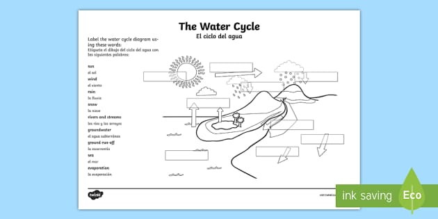 Water Cycle Labelling Worksheet Worksheet Spanish Translation