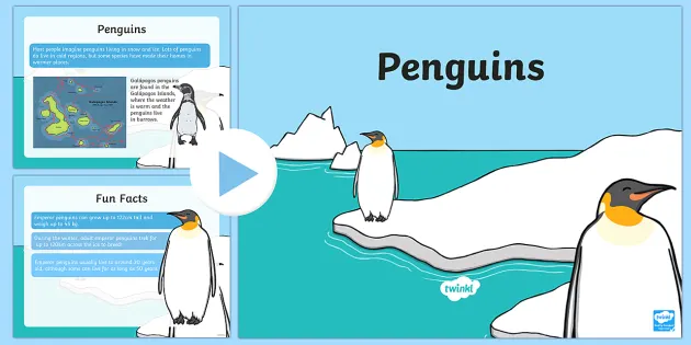 Ks1 Penguin Fact File Powerpoint Teacher Made
