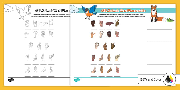 ASL Animals Word Unscramble Worksheet (Teacher-Made)