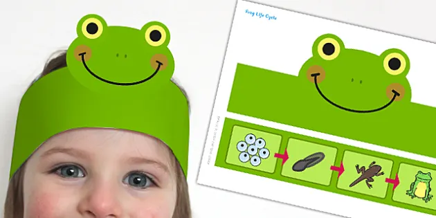 Frog Face Stickers For Kids