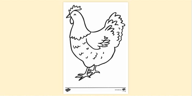The Fashionable Hens, coloring book – AmelieLegault