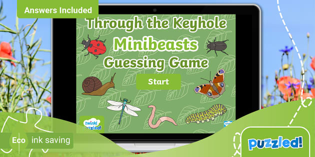 Fun Minibeasts and Insects Zoomed in Picture Guessing Game