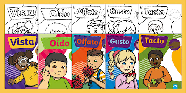 Imágenes de los 5 sentidos para imprimir | Twinkl - Twinkl im-genes-de-los-5-sentidos-para-imprimir-twinkl-twinkl