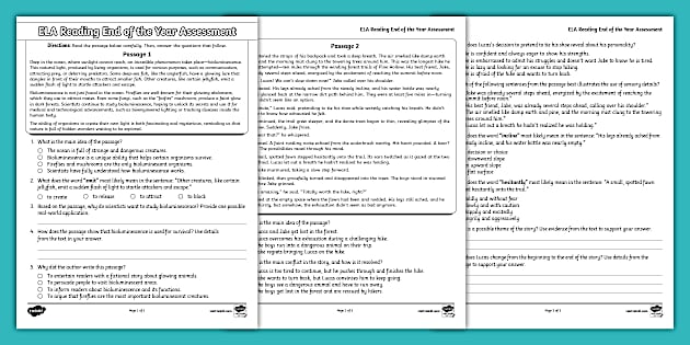 Seventh Grade ELA Reading End of the Year Assessment