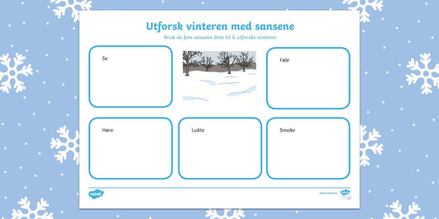 Hva er snø og hva kan man gjøre når det snør? - Twinkl