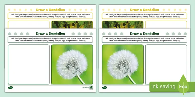 How to Draw a Dandelion & Create a Dandelion Painting - Arty