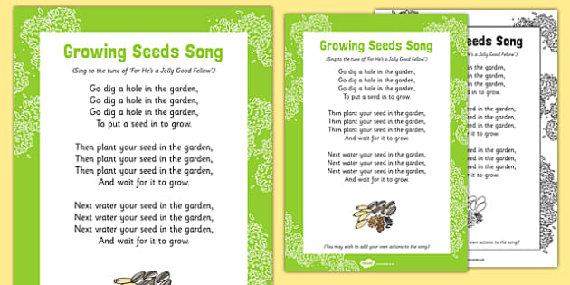 Growing Seeds Song (Teacher-Made)