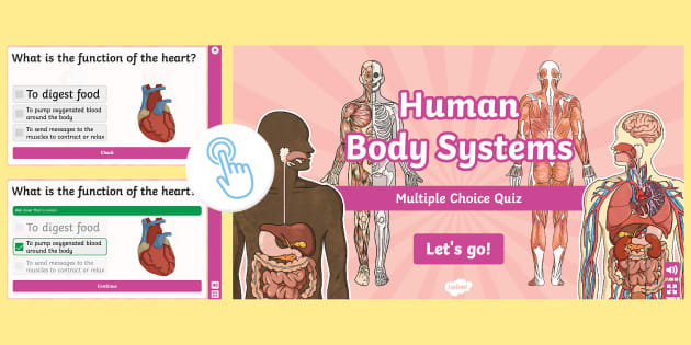 Human Body Systems Interactive Quiz (Teacher-Made) - Twinkl