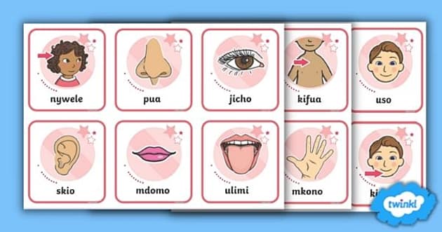 speak swahili worksheet worksheet teacher made