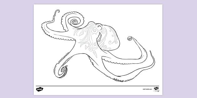 FREE! - Octopus Colouring Page for Children | Colouring Sheets