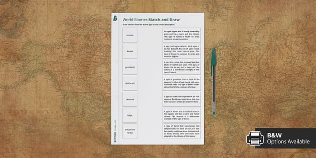 Biomes Match and Draw Activity - Twinkl