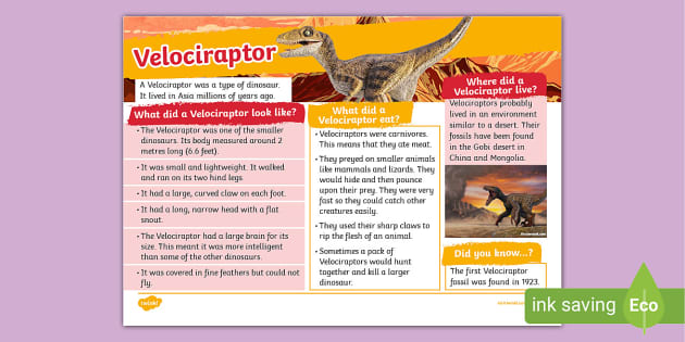 Raptor Dinosaurs, Definition, Types & Species - Video & Lesson Transcript